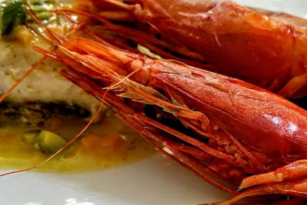 img-gastronomia