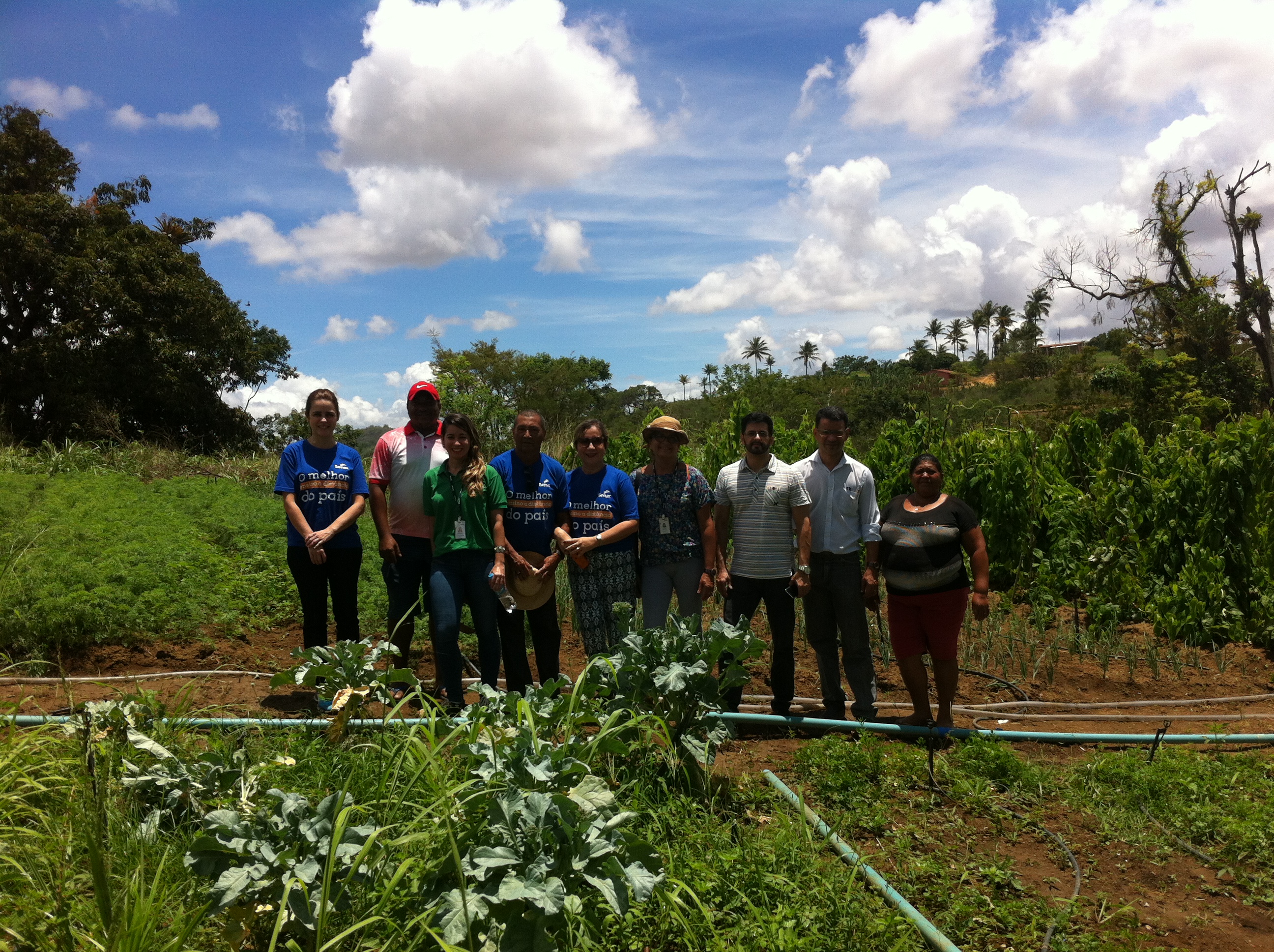 Evento de agricultura realizado em São Luís reúne centenas de produtores  rurais do Estado