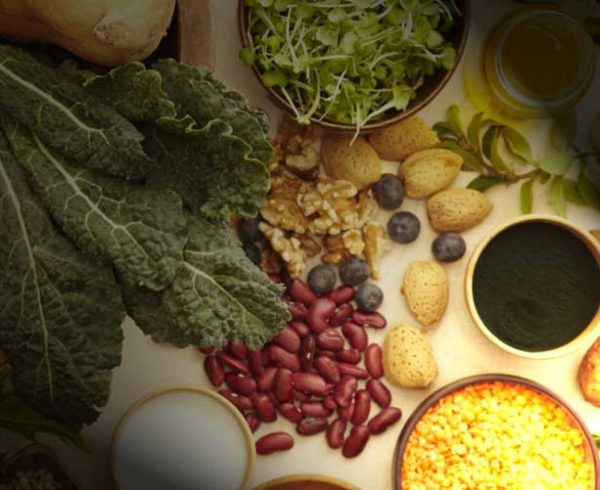 Alimentação Ayurveda palestra Faculdade Senac