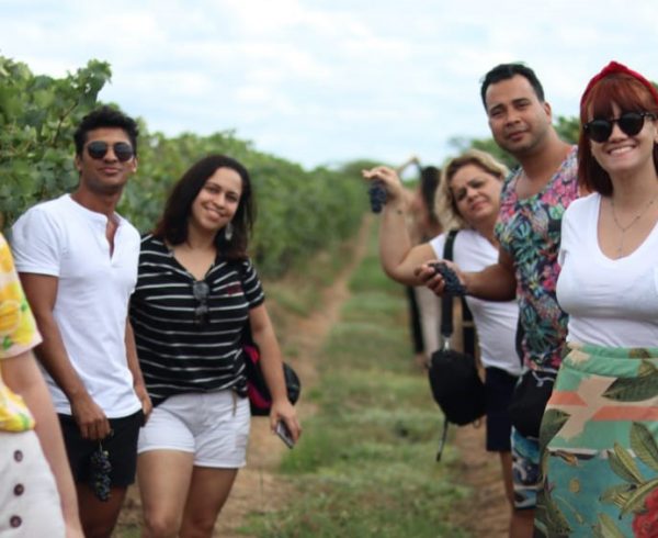 Alunos de Gastronomia da Faculdade Senac fazem visita técnica à vinícola Rio Sol