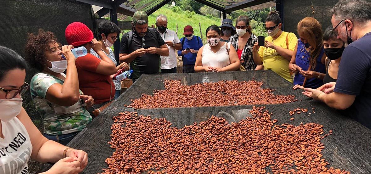 A turma da especialização em Confeitaria conheceu de perto os processos da produção do chocolate