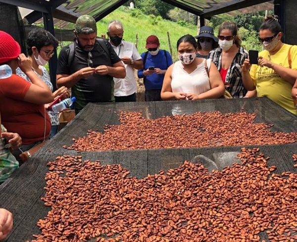 A turma da especialização em Confeitaria conheceu de perto os processos da produção do chocolate